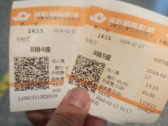-深影国际影城(学院南路店CGS中国巨幕店)