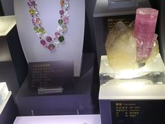 -湖南省地质博物馆