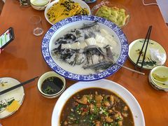 -全乐鱼馆·淳牌有机鱼直营店