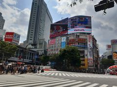 -涩谷区