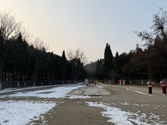 -函谷关历史文化旅游区