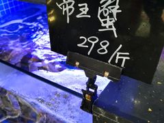 -小海丁