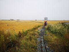 -红海滩国家风景廊道