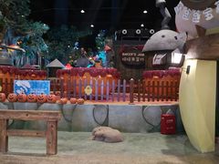 -蓝精灵乐园·世茂精灵之城主题乐园