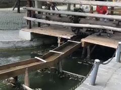 -河北村民俗体验园