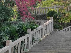 -乌山风景区