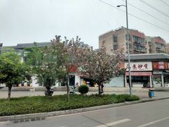 -南山植物园