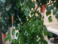 -麦悠悠·SPA·推拿(沈杜公路地铁站店)