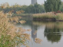 -西海子公园