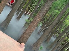 -东湖落雁景区