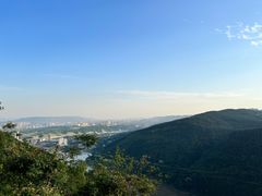 -铁山坪森林公园