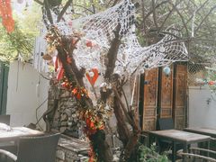 -喵屿·大理花园猫咖