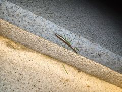 -沈阳站