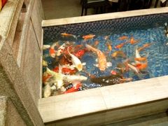 picture-盆满钵满·国家非遗传承(云台店)