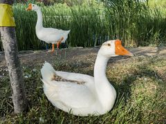 -永定河休闲森林公园