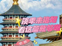 -一记洛阳菜·糖醋小排·水席(十字街店)