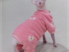 -藏猫猫咖啡主题馆(中央大道店)