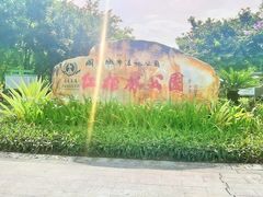 -大亚湾红树林城市湿地公园