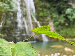 -鹿院坪生态旅游景区