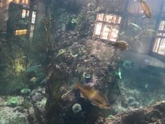 -西雅图水族馆
