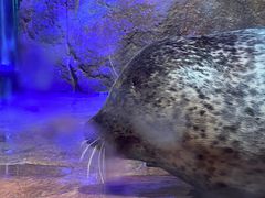 -洛阳龙门海洋馆