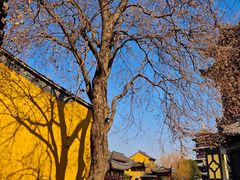 -圆通寺