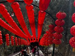 -红螺寺