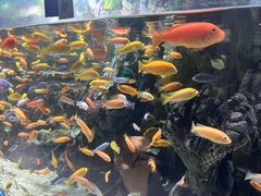 -太平洋海底世界