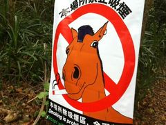 -鹅銮鼻公园