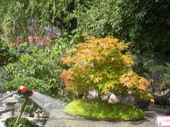 -北京市劳动人民文化宫(太庙)