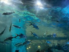 -常州海昌海洋探索馆