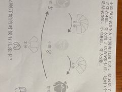 -科晓兔外教英文·数学思维·乐高编程·科学实验(怡山校区)