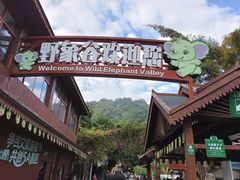-野象谷景区