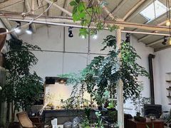 -植觉