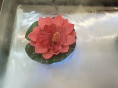 -三只耳火锅(宽窄巷子店)
