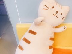 -纳吉亚猫专科动物医院·北北分院