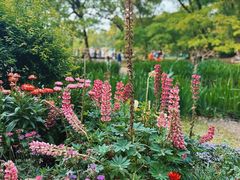 -上海共青森林公园