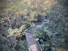 -佛山华盖山公园