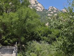 -北京凤凰岭