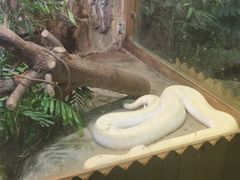 -上海大自然野生昆虫馆(东方明珠·爬宠昆虫探索中心)