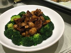 -四季春