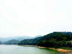 -广州市帽峰山景区