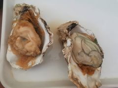 -大连海鲜斑鱼火锅(安平店)