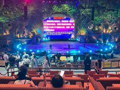 -广州长隆国际大马戏