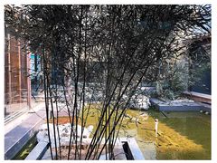 -竹雨堂创意中国菜(裕华店)
