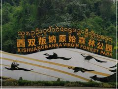 -西双版纳原始森林公园