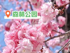 -塘沽森林公园