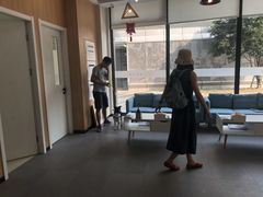 -爱妮康宠物医院·干细胞免疫细胞·肿瘤·心脏(张江店)