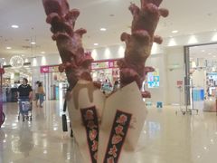 -永旺梦乐城国际商城(北清路店)