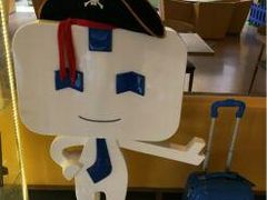 -北京临空智选假日酒店